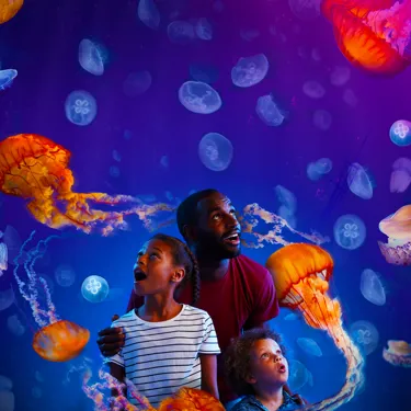 SEALIFE London