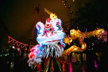 Year of the dragon Chinese New Year