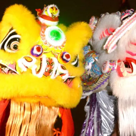 Lion Dance